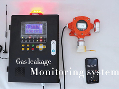 Sistema fisso di monitoraggio delle perdite di gas Detettore di gas montato a parete con regolatore di allarme del gas